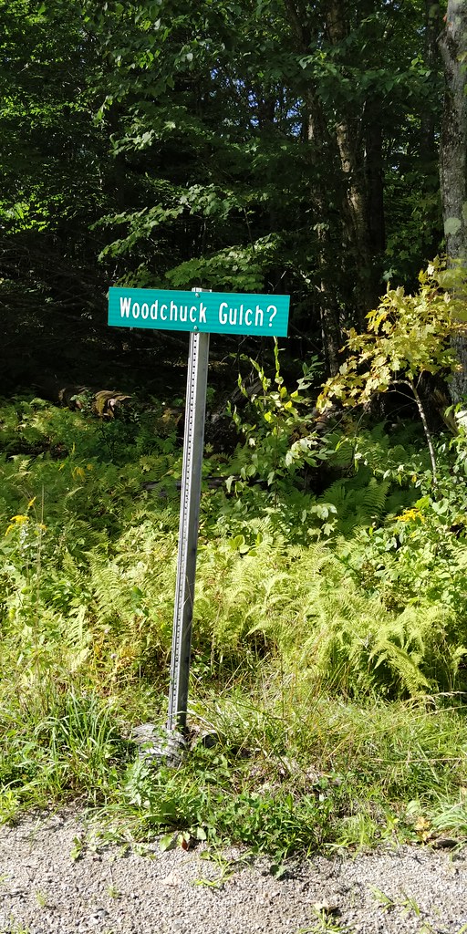 Woodchuck Gulch ? Figel Hill Road Woodchuck Gulch Nation… Flickr