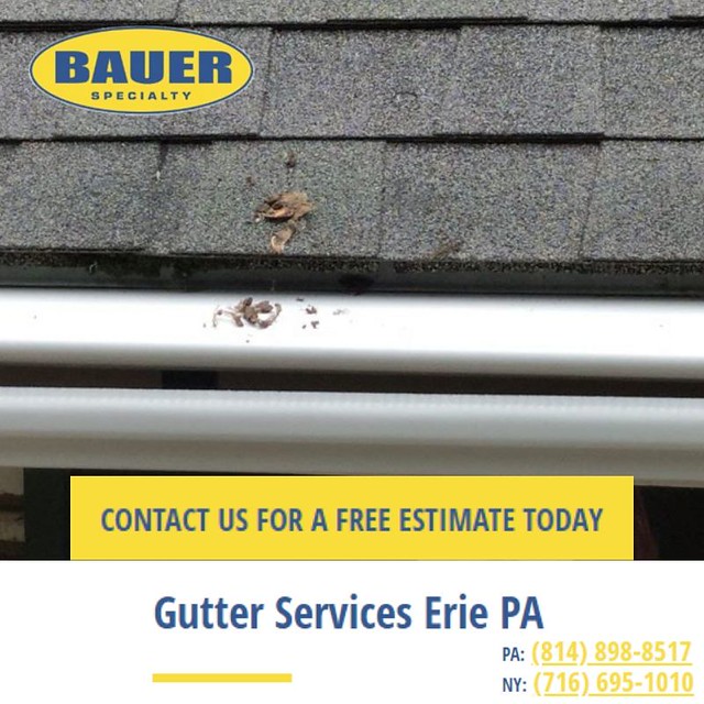 Gutter Services Erie, PA Bauer Specialty LeafGuard® Gutter… Flickr