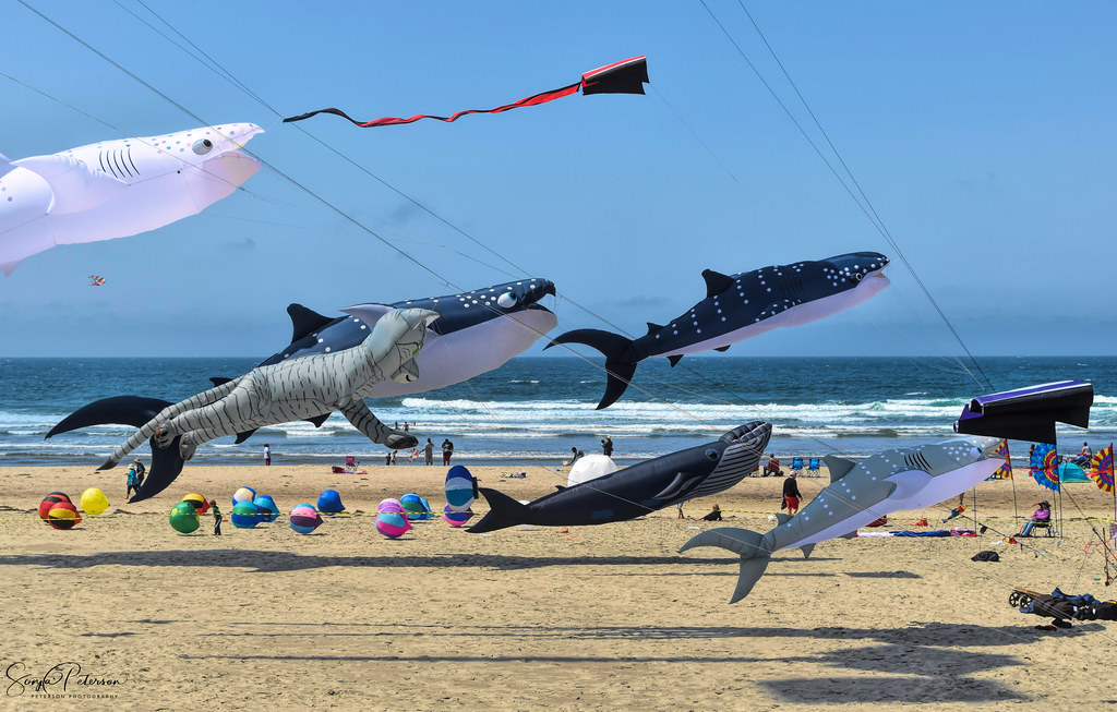 Rockaway Beach Kite Festival Where Art Soars to New Heig… Flickr