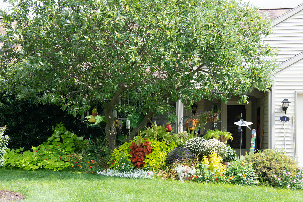 Morrison garden 9/10/19 Flickr