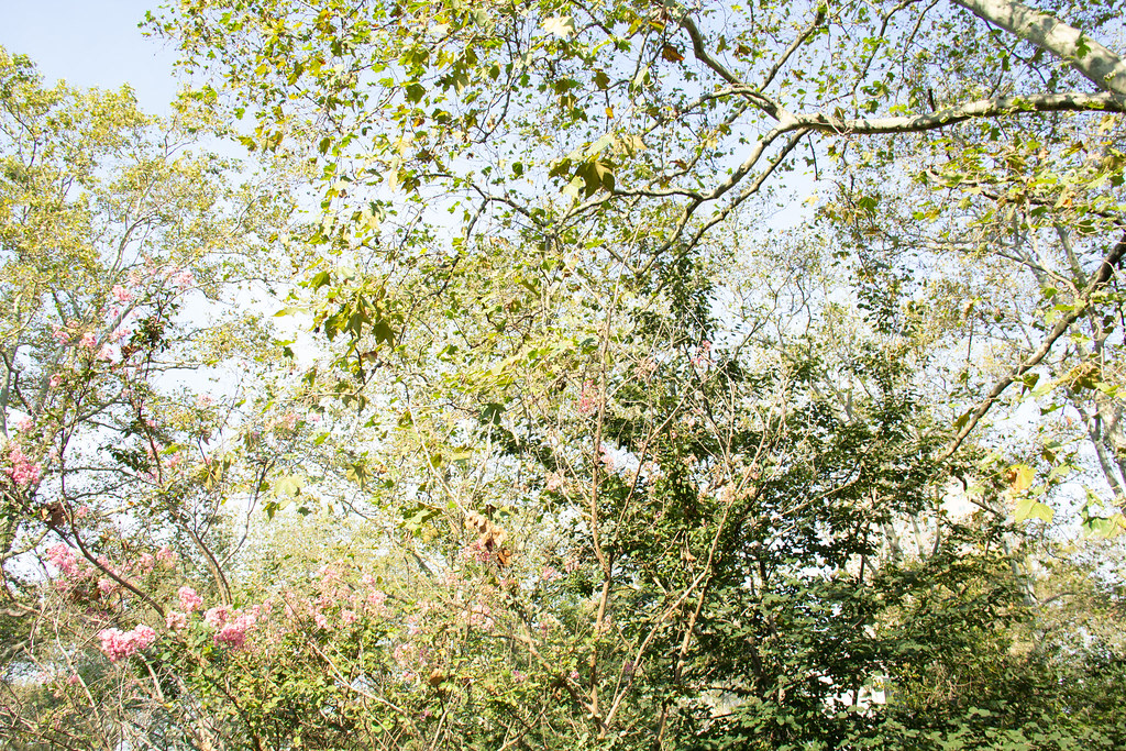 Outside photos Flickr