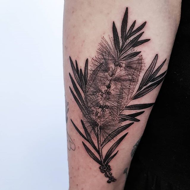 Black And Grey Callistemon Flower For Emma. ❤ @Withlove… | Flickr 640_x_640_jpg
