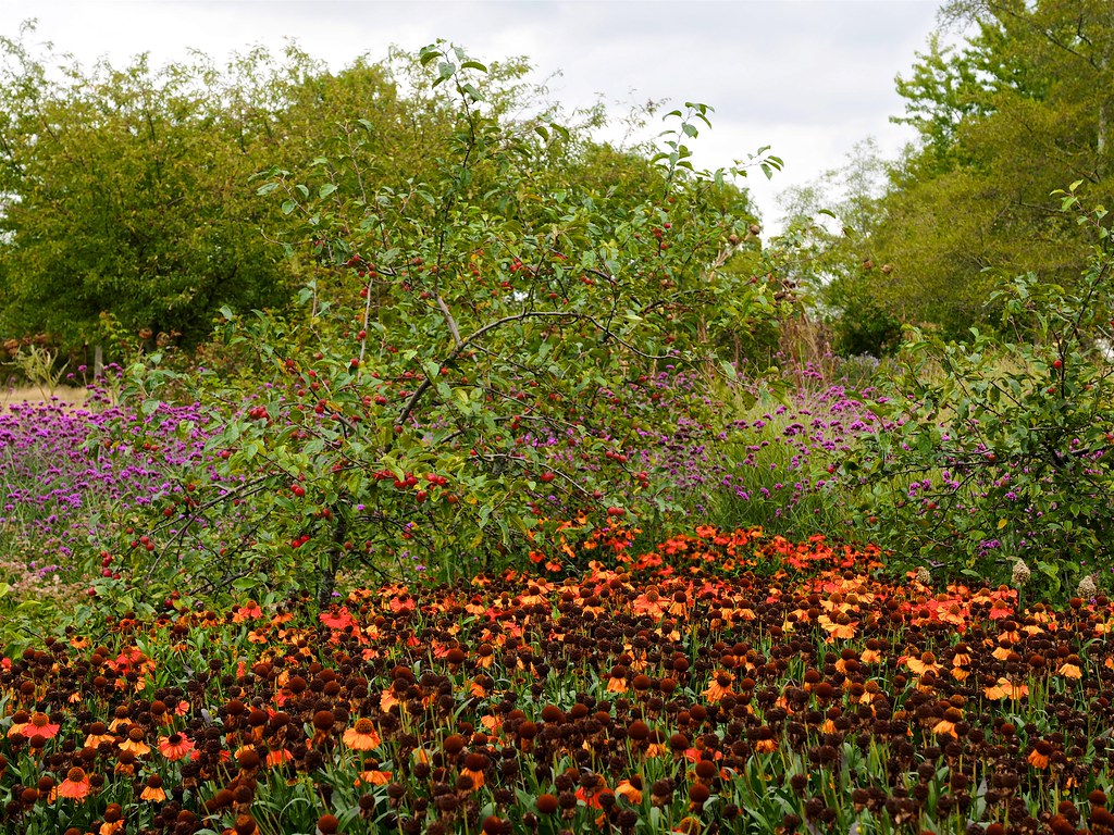 P9102215 RHS Garden Hyde Hall Rettendon Chelmsford Essex C… Flickr