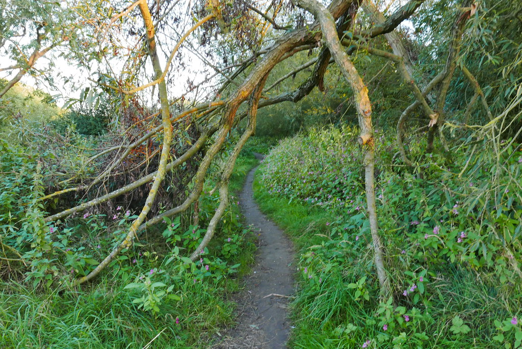 Great York PreWalk. Towards Fulford Ings John Robinson Flickr