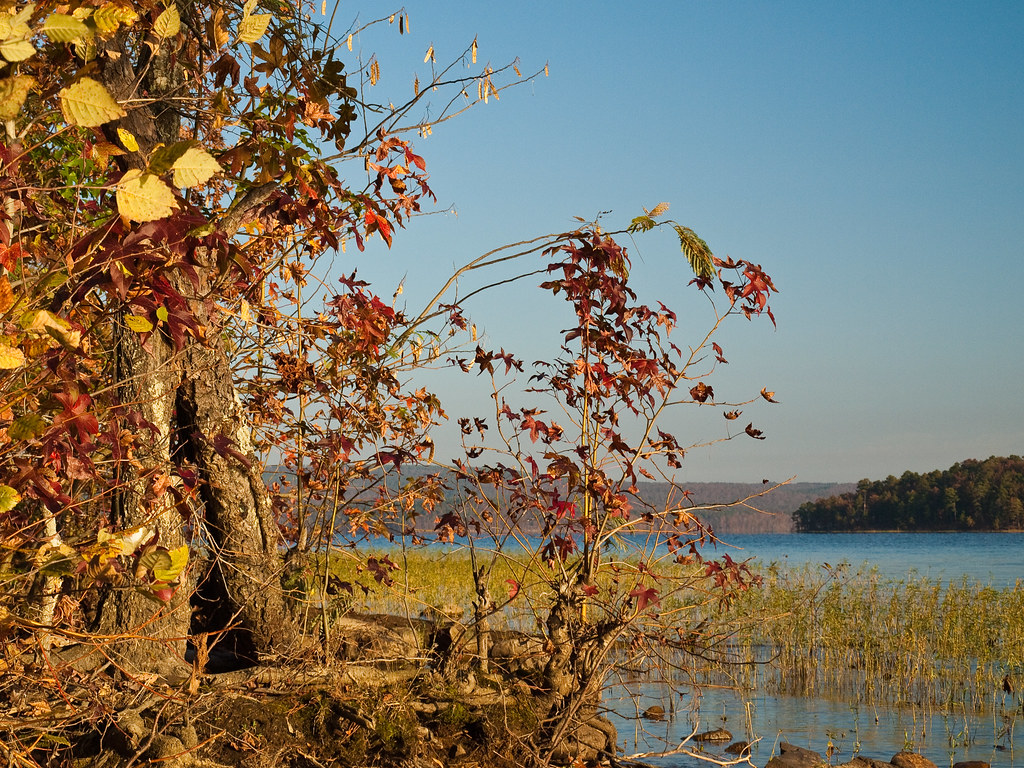 Autumn on Lake Maumelle OLYMPUS DIGITAL CAMERA Flickr