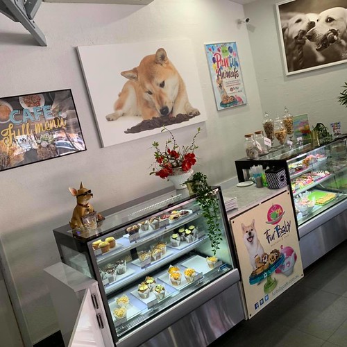 Dog Cafe Perth Perth's Best Dog Cafe for an exciting exper… Flickr
