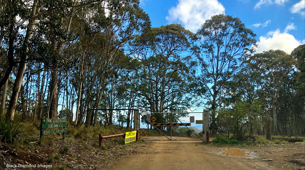 Dingo Gate, Barrington Tops, Moonan Brook, NSW Copyright … Flickr