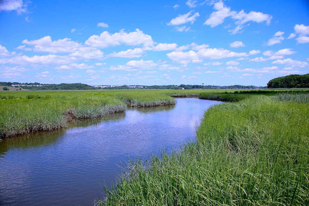 Cheesequake State Park in Old Bridge, New Jersey he park's… Flickr