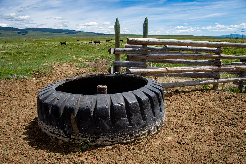 _DSC3027 This rubber tire is a stock water tank on the Hun… Flickr