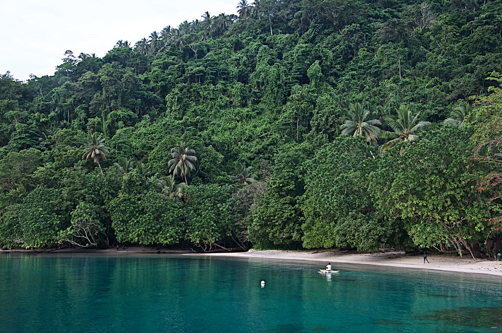 155 Uruna Bay, Pokpok Island, Bougainville Island, Bouga… Flickr