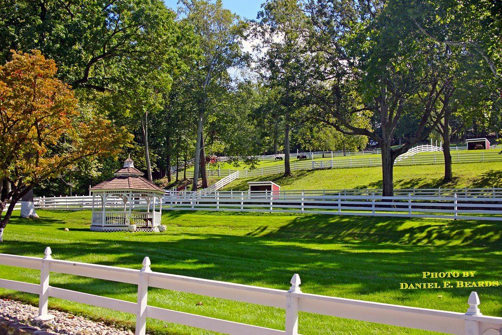Evergreen Miniature Horse Farm in Livingston, NJ This beau… Flickr