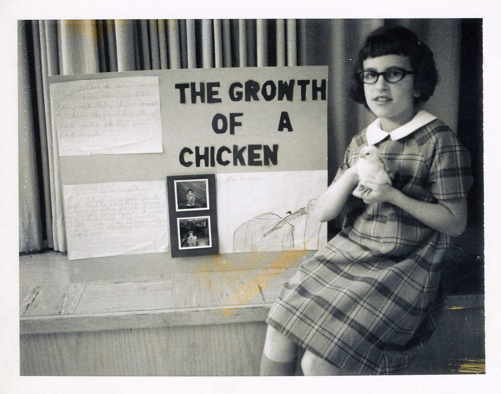 school60 Jeanne Buhler, 4th grade Waunakee Public Library Flickr