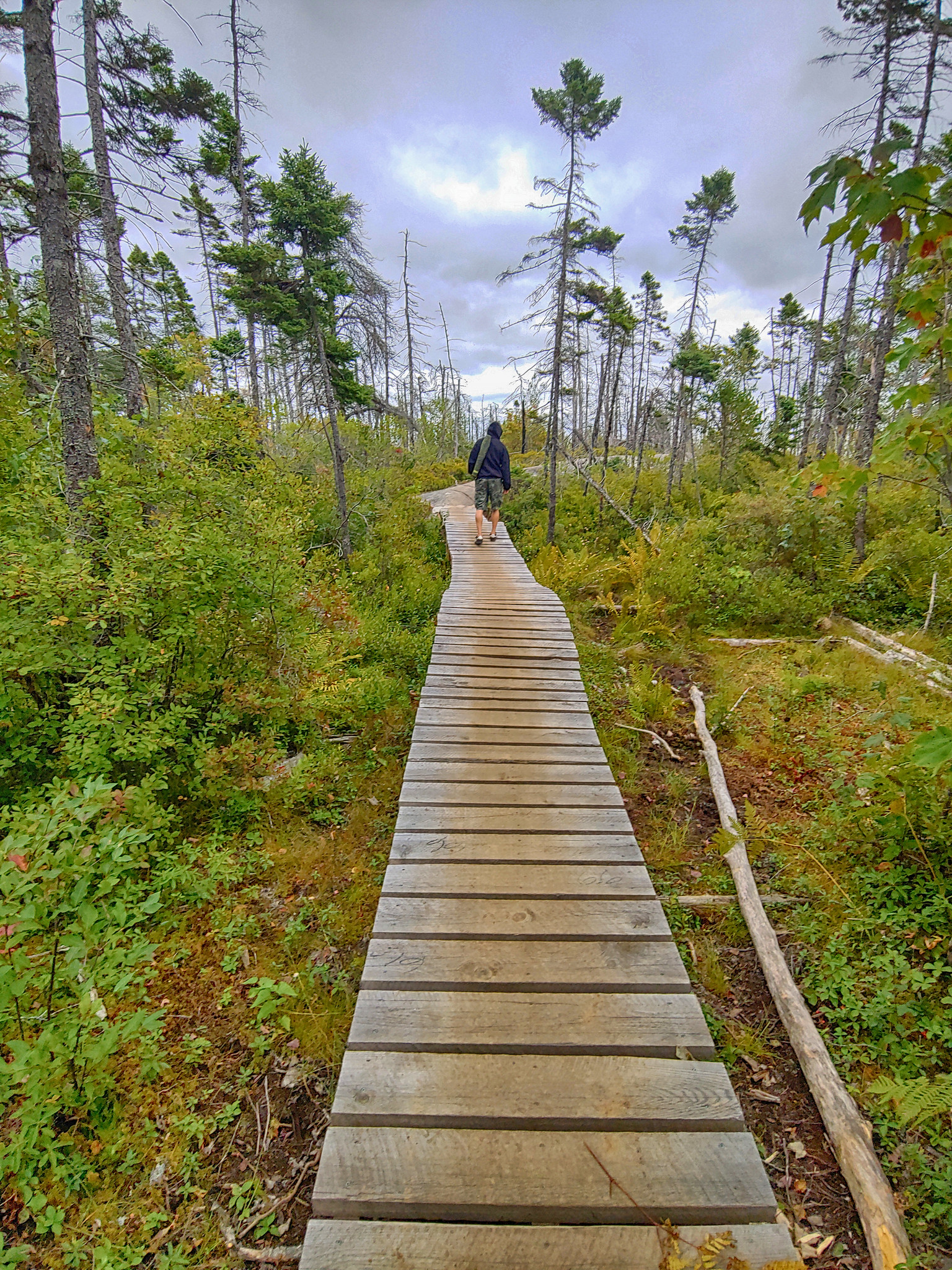 McIntosh Run Singletrack Trails Photos Multimedia. HalifaxTrails .ca