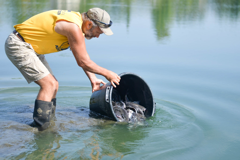 Genoa Township fishing event 91519 Flickr