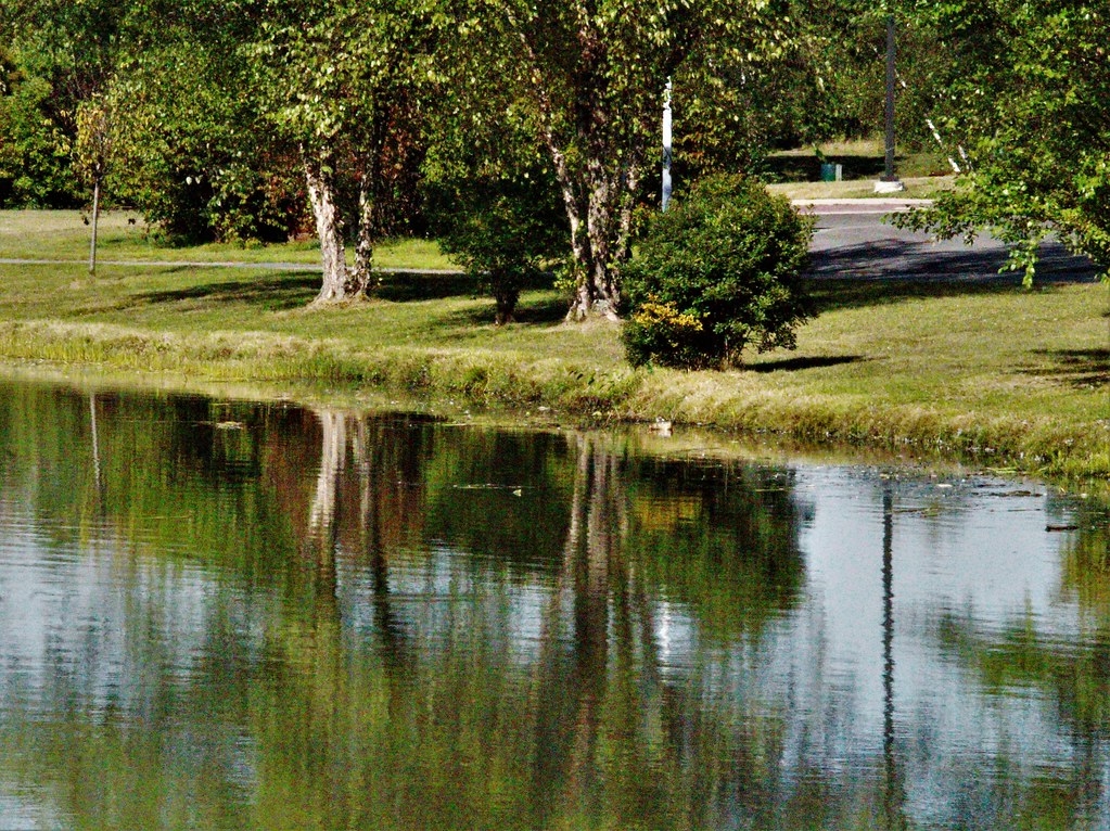 Trees Reflection on Pond at Kennedy Park Sayreville NJ Flickr