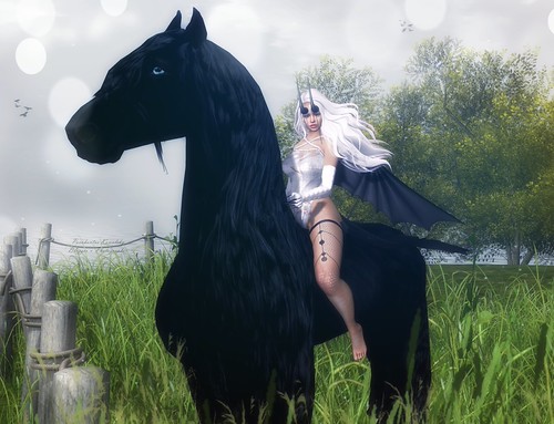 LOST LITTLE DRAGON °°