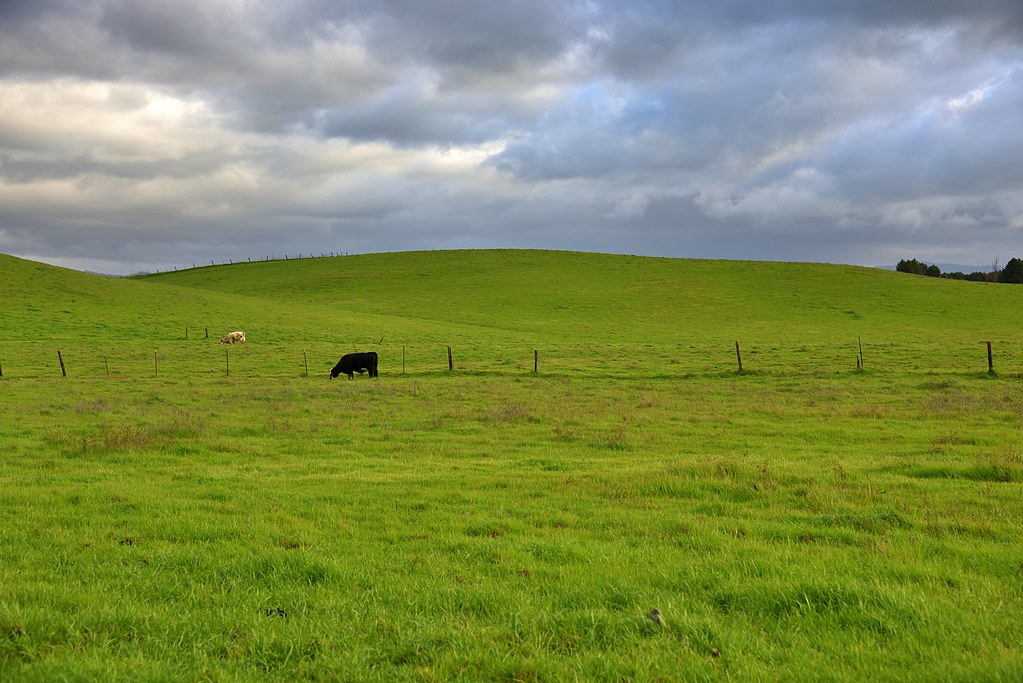 California Ranch Livermore, California armyblackhawkpilot Flickr