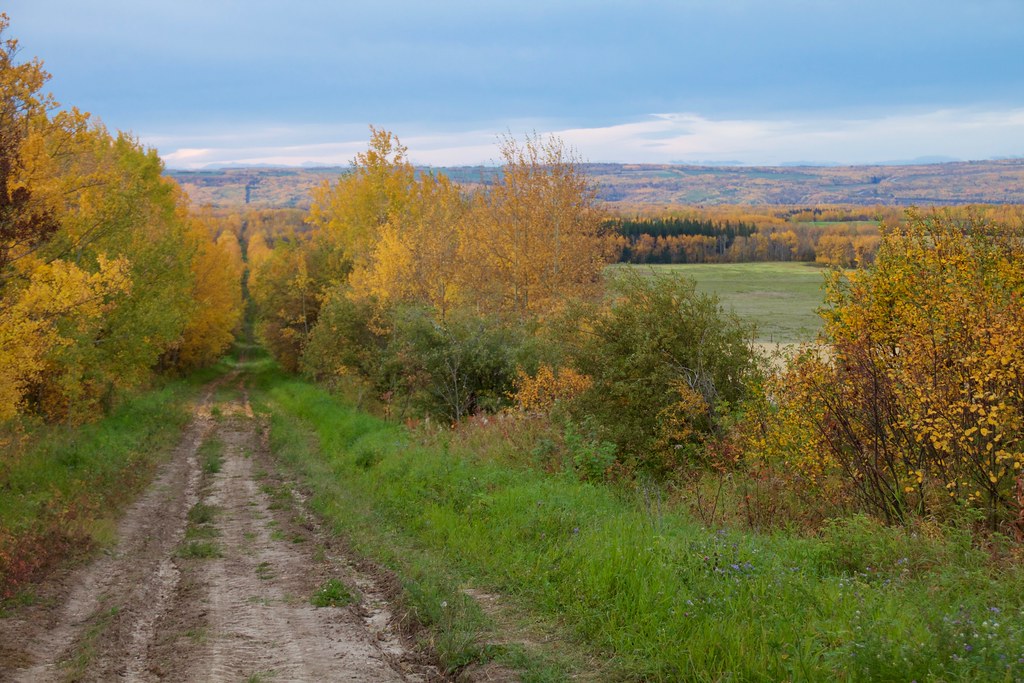 Fall In the BC Peace River Country tuchodi Flickr