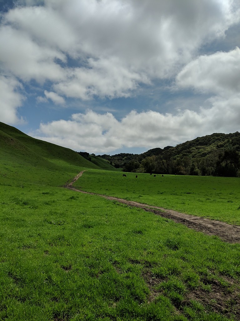 20190407_California_Briones Regional Park Flickr