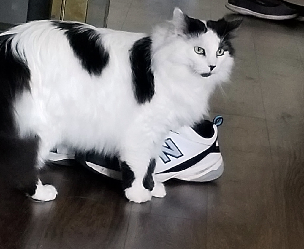 Greenland Estates, N 7th St 99, Coldwater, OH, USA Sunrise Sunset Times