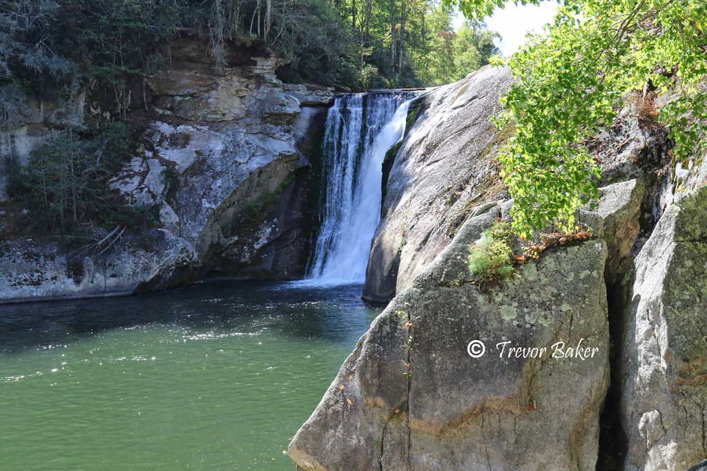 Elevation of Old Buck Mountain Rd, Roan Mountain, TN, USA Topographic