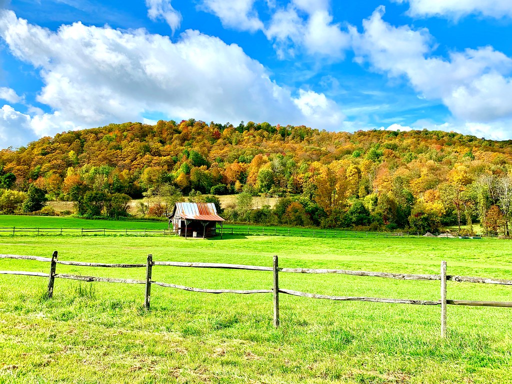Sunny morning along Vermont’s backroads. Daniel Darling Flickr