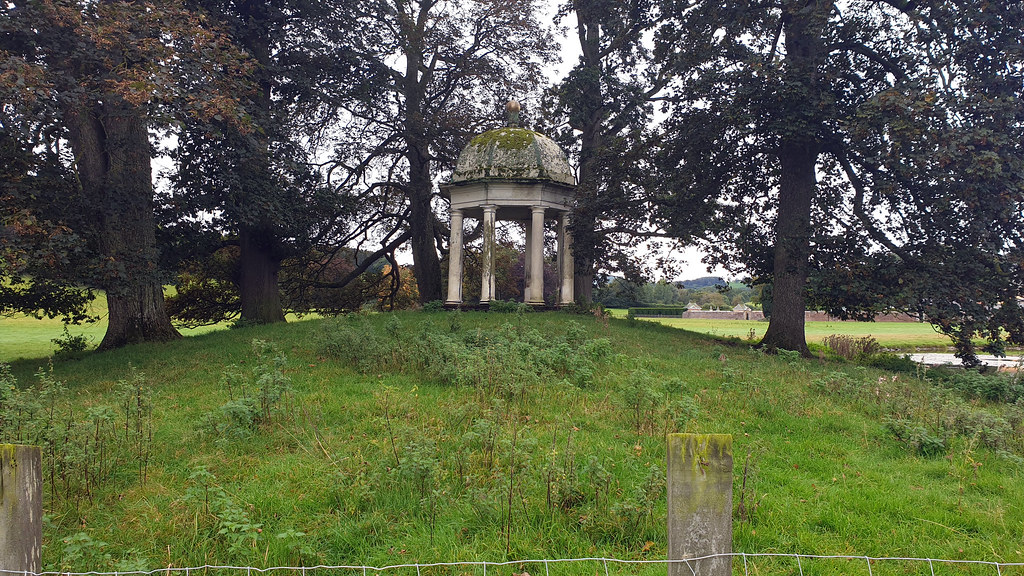 Llanelidan Coppice Wood Walk North Wales