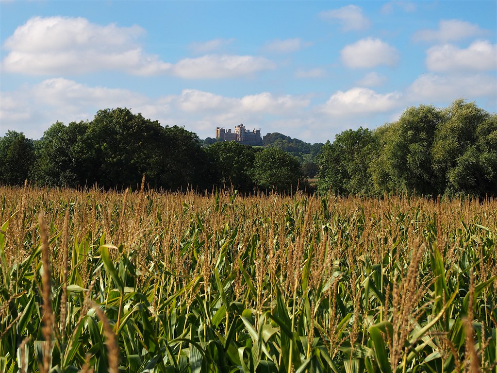 P9202641 Woolsthorpe by Belvoir Lincolnshire Belvoir Castl… Simon