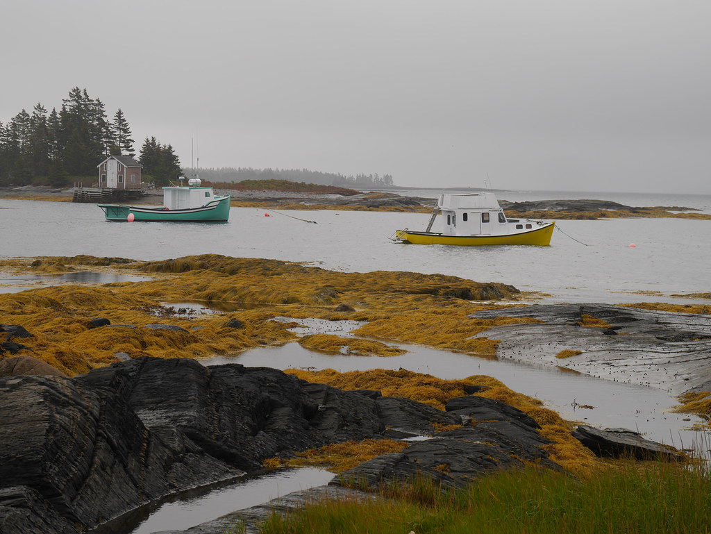 P1180523 Blue Rocks Nova Scotia dgmoeny2 Flickr