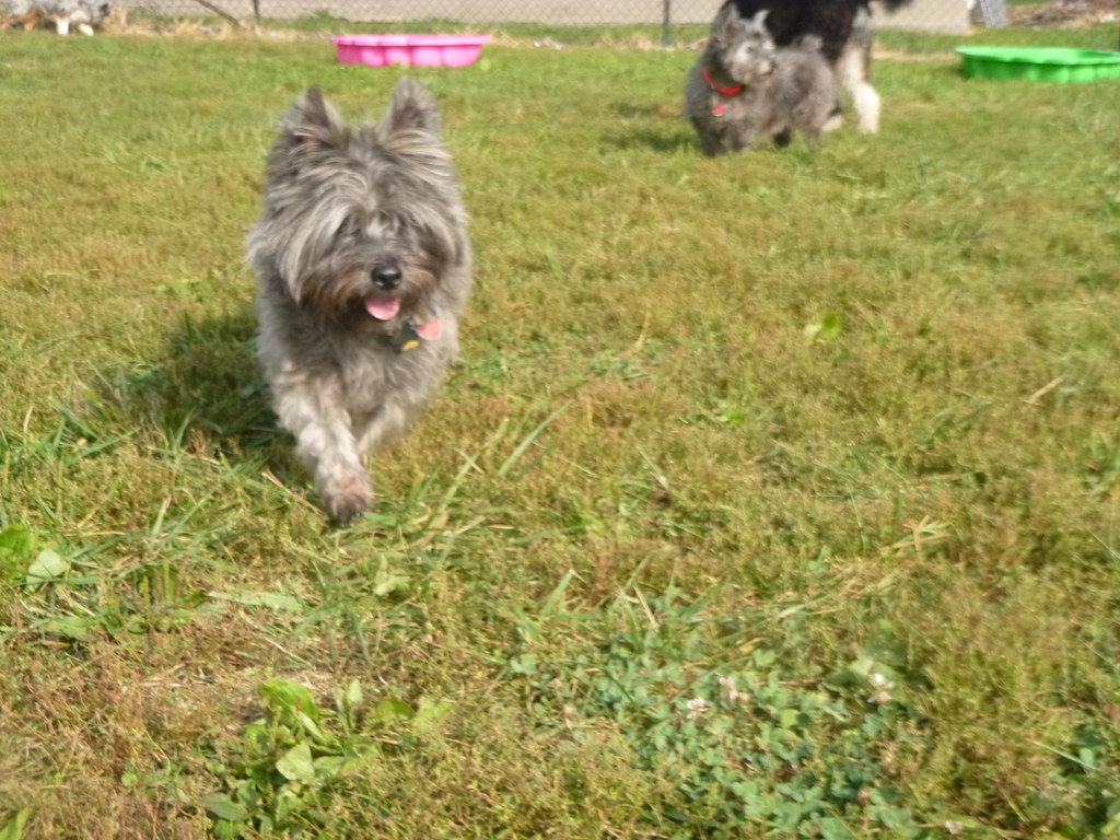 P1660992 Greenlin East Flickr