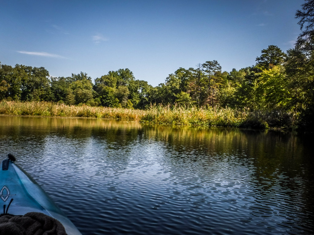Berry Shoals Pond57 Tom Taylor Flickr