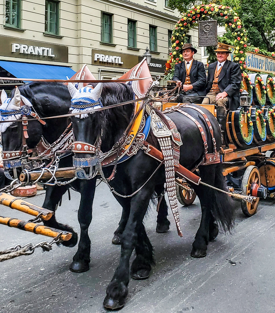 So festive! Beautiful ornamented horses pull wagons Ruth's… Flickr