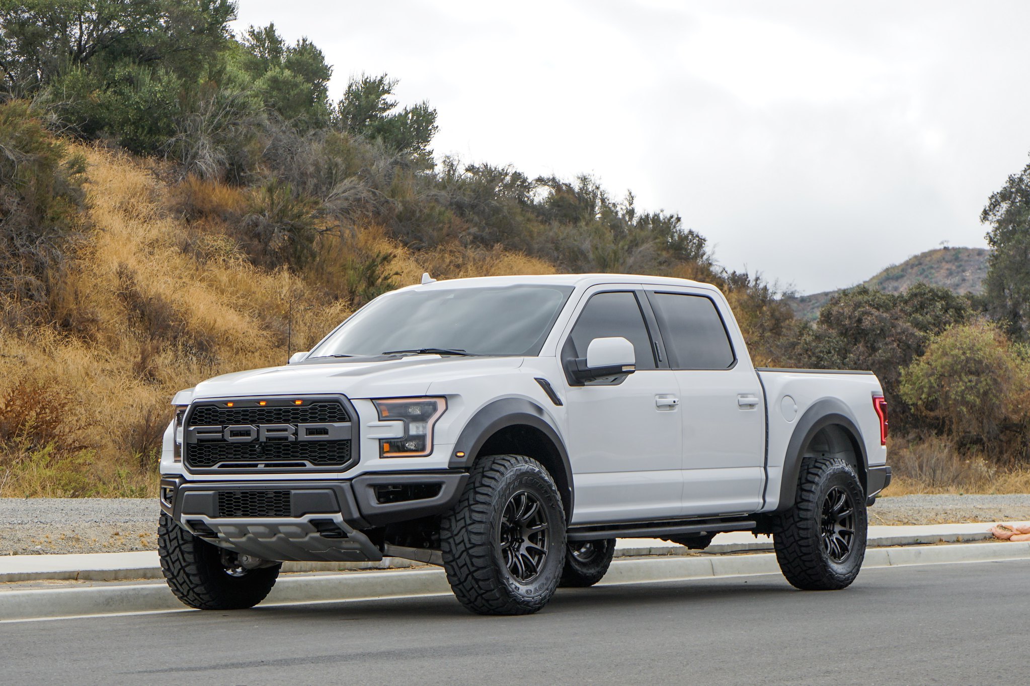 BVita's Oxford White Raptor World