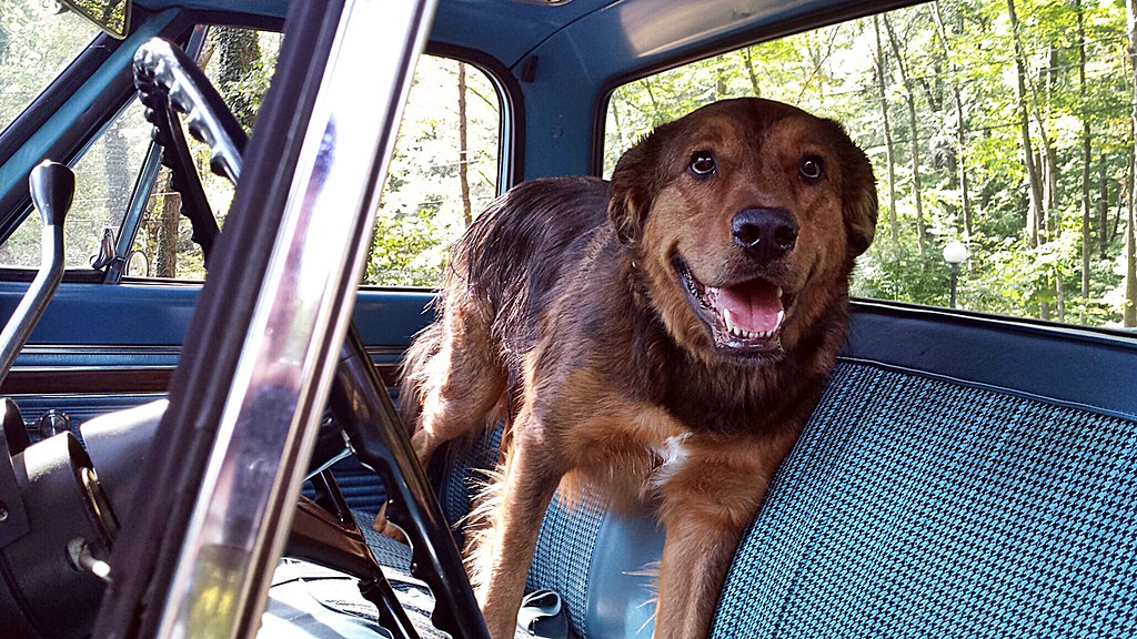 Anyone here take Gabapentin ? Or have nerve damage / numbness problems in arms, legs, etc