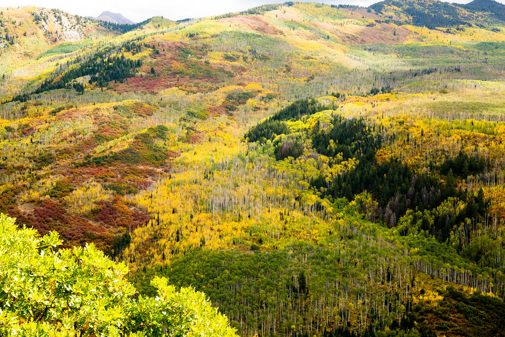 _X7A9554 McClure Pass, about 8,800 feet high, Elk Mountain… Flickr