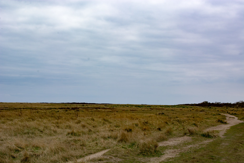 Seacroft, Skegness, Lincolnshire63.jpg Edward Kendal Flickr