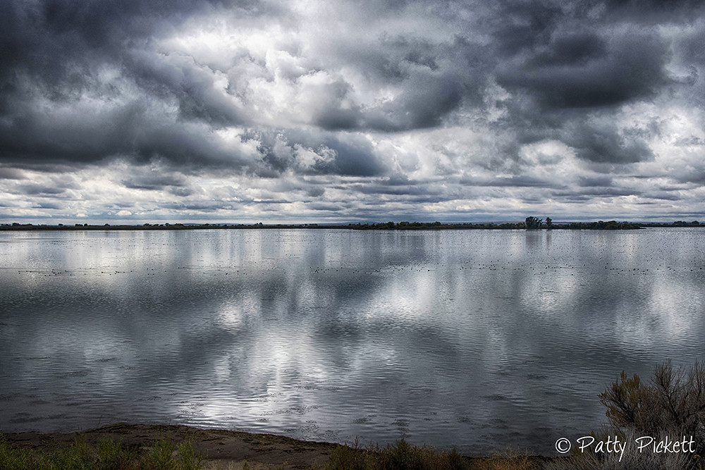 Mud lake WMA Idaho Pattysphotos Flickr