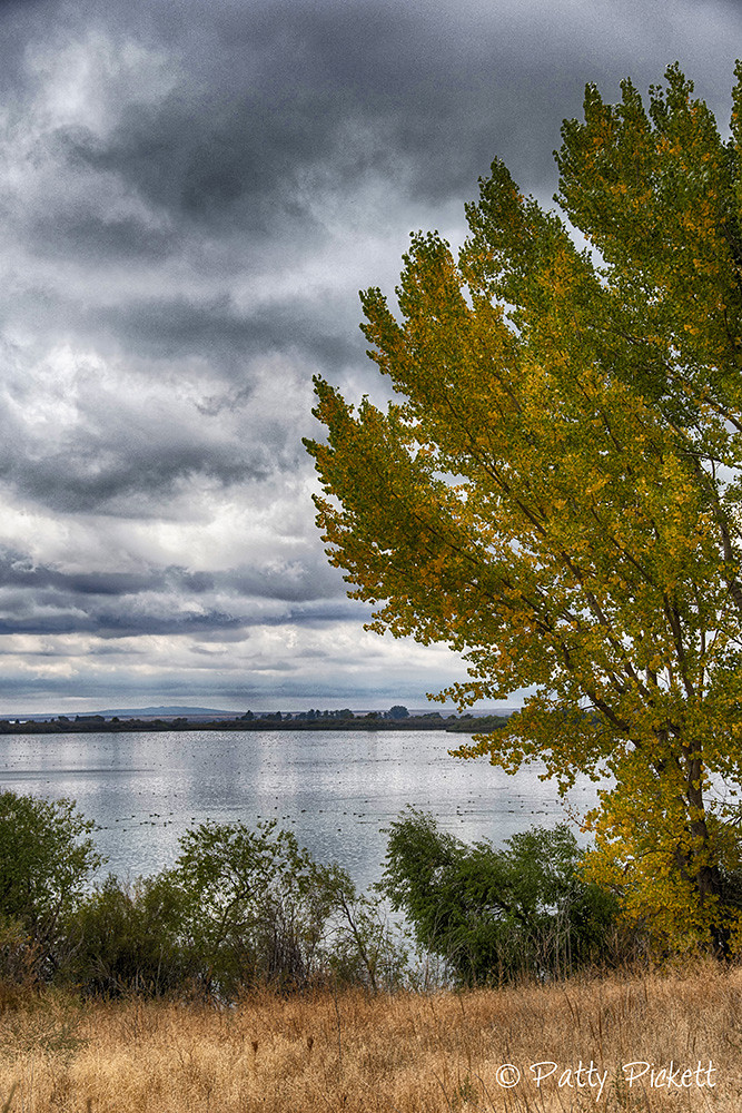 Mud lake WMA Idaho Pattysphotos Flickr