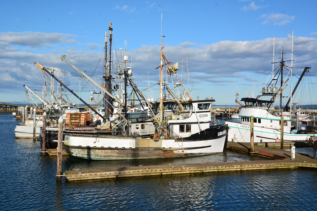 Westport Fishing Fleet Westport, WA Jim Culp Flickr