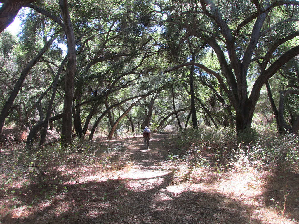 2019_09_30 Orosco Ridge & Boden Cyn Flickr