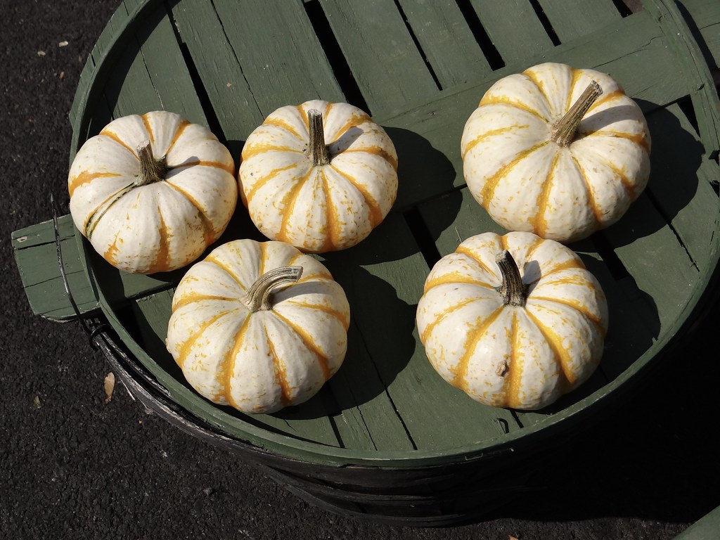 farmers market Lewisburg, WV billy liar Flickr