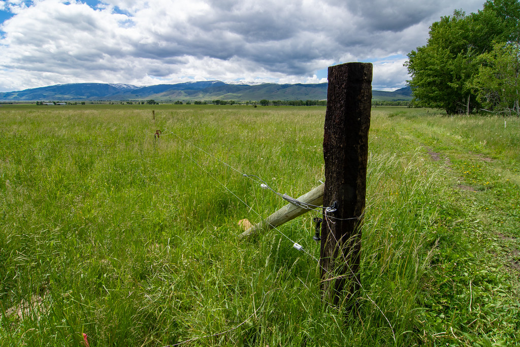 _DSC6793 An electric fence keeps livestock from grazing in… Flickr