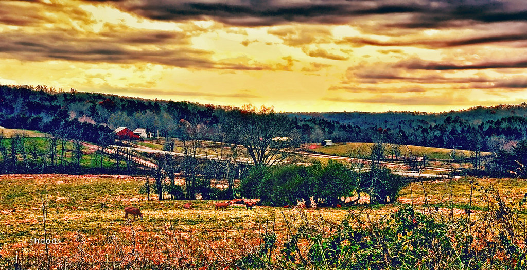 the road to Pleasant Hill goldenhour 2ab Jeffrey Hood Flickr