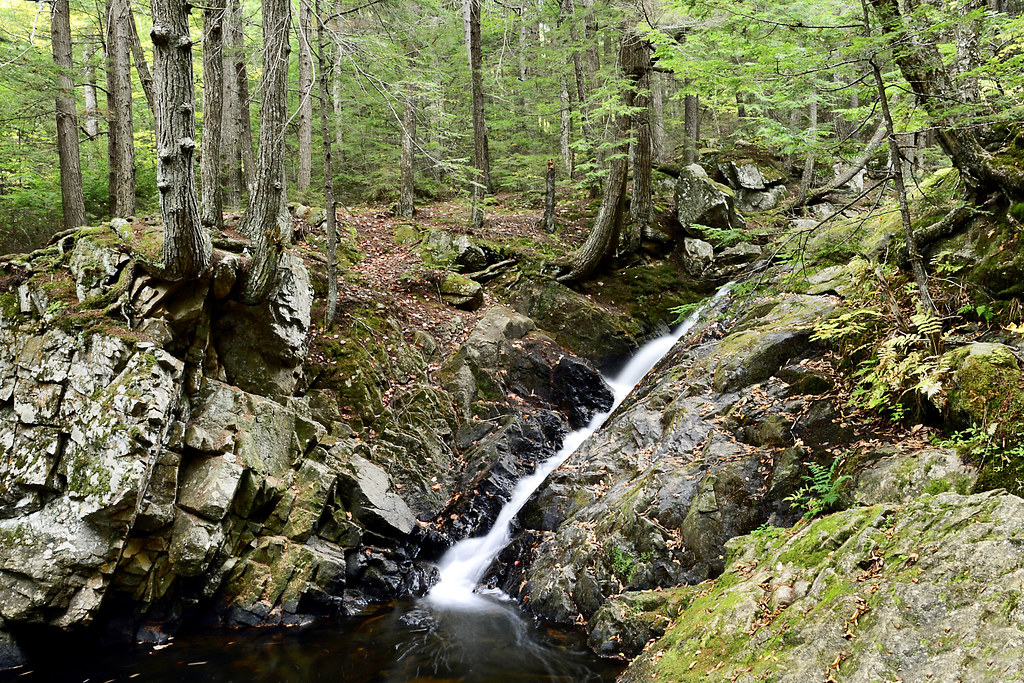Bicknell Brook rachel.roze Flickr