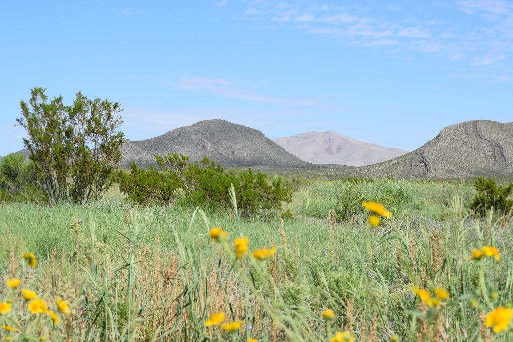 Sierra Blanca, TX Flickr