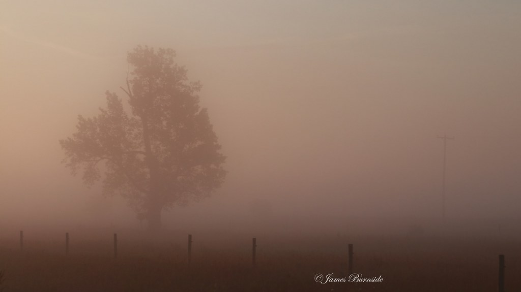 Early Morning Near Dacotah MB James Burnside Flickr