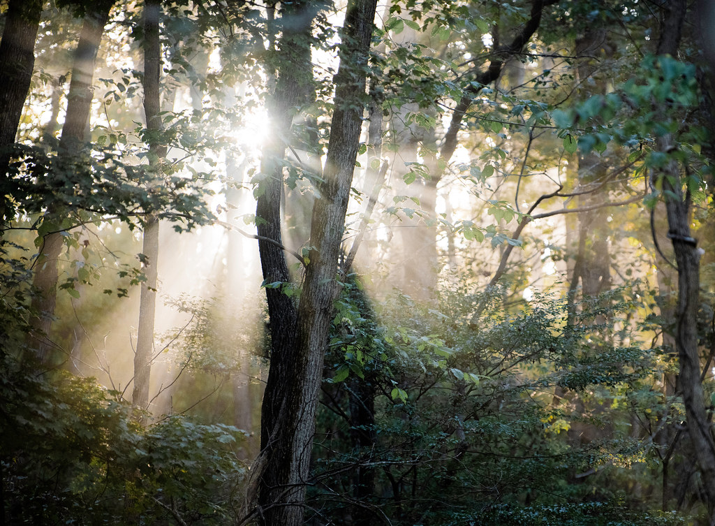 Elevation of Lebanon Junction, KY, USA Topographic Map Altitude Map