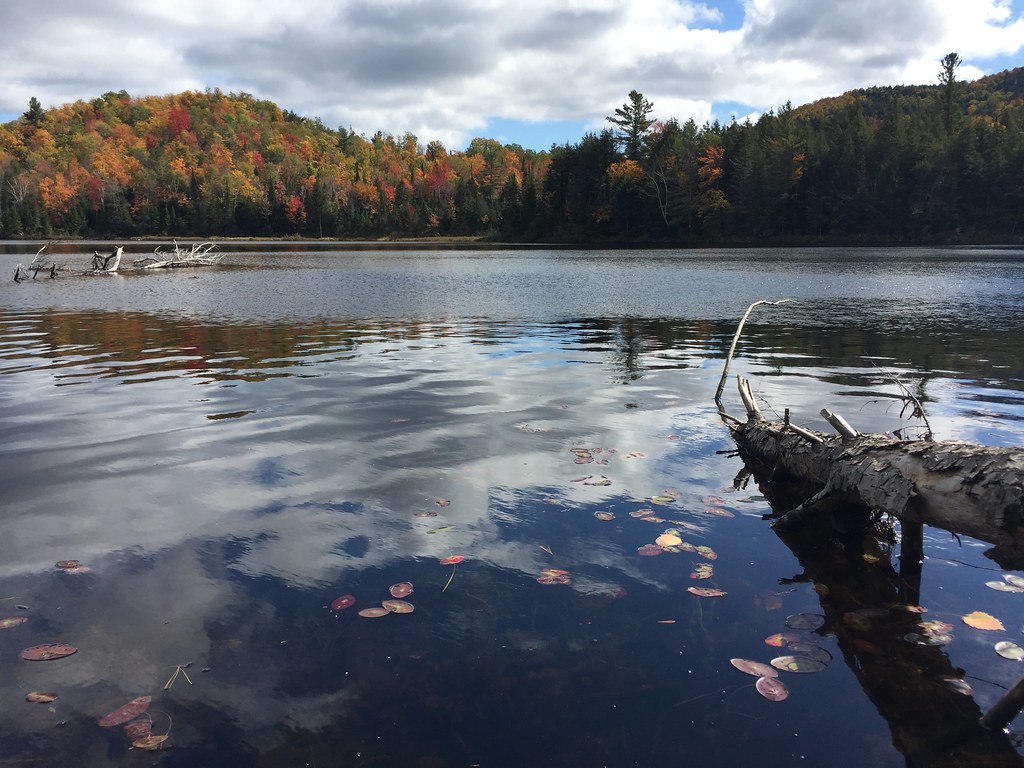 Lincoln Pond Adirondack Park MMR Dad Flickr