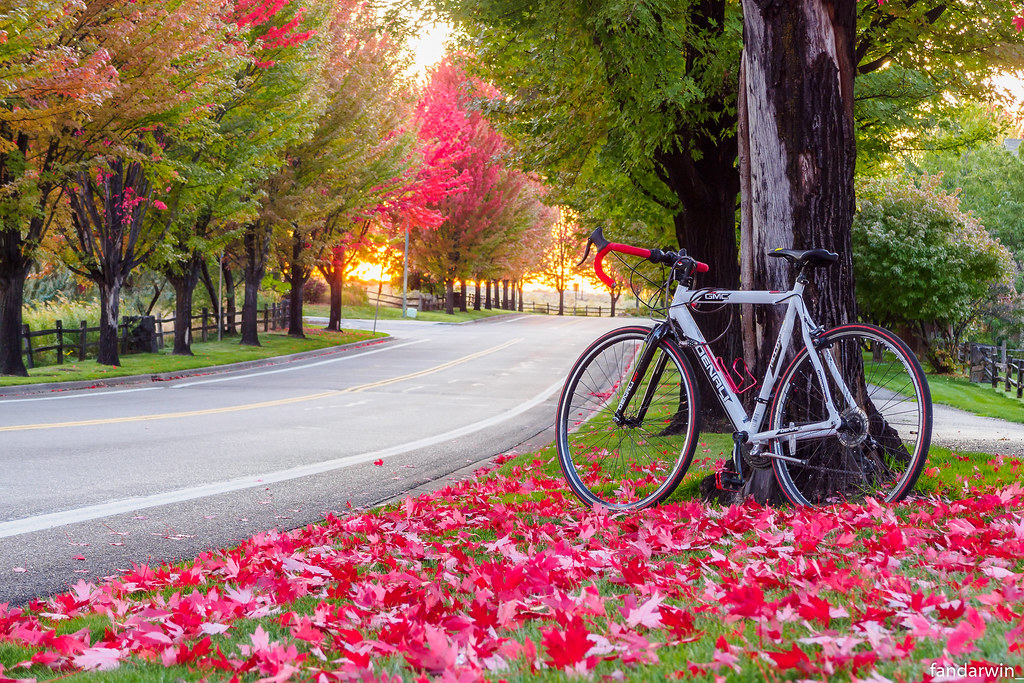 Surprise Valley, Boise (Explored 10/6/2019) Darwin Fan Flickr