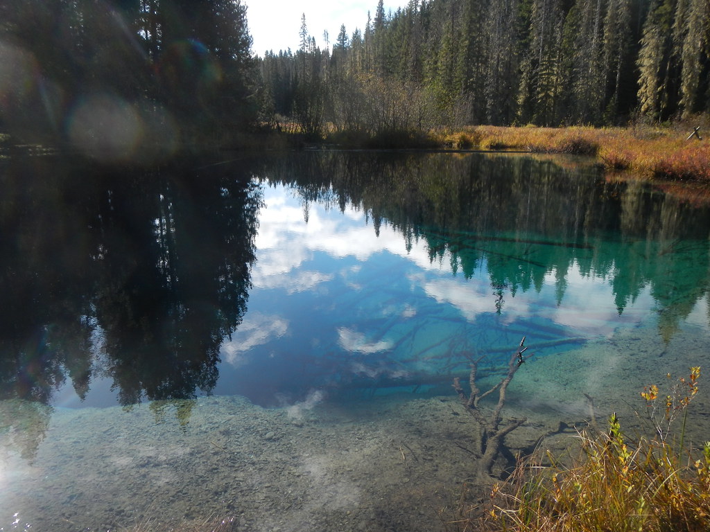Annual Timothy Lake Hike ON & OFF RHODES